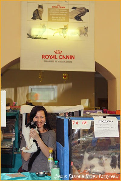 Елена Борисова | Ульяновск