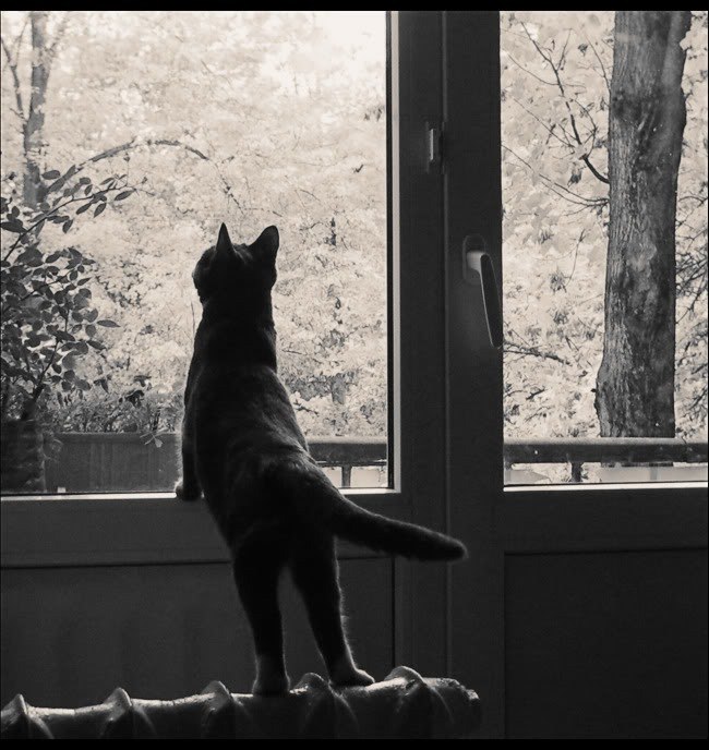 Александра Тихонова | Воронеж