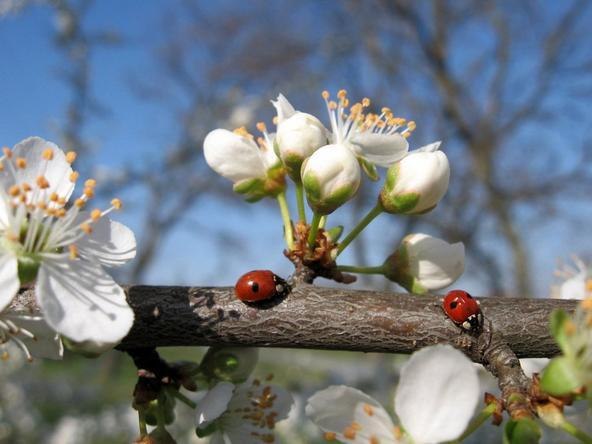 Marina Ivanova | Санкт-Петербург