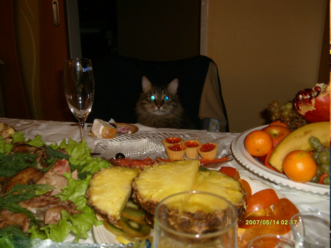 Елена Егорова | Казань