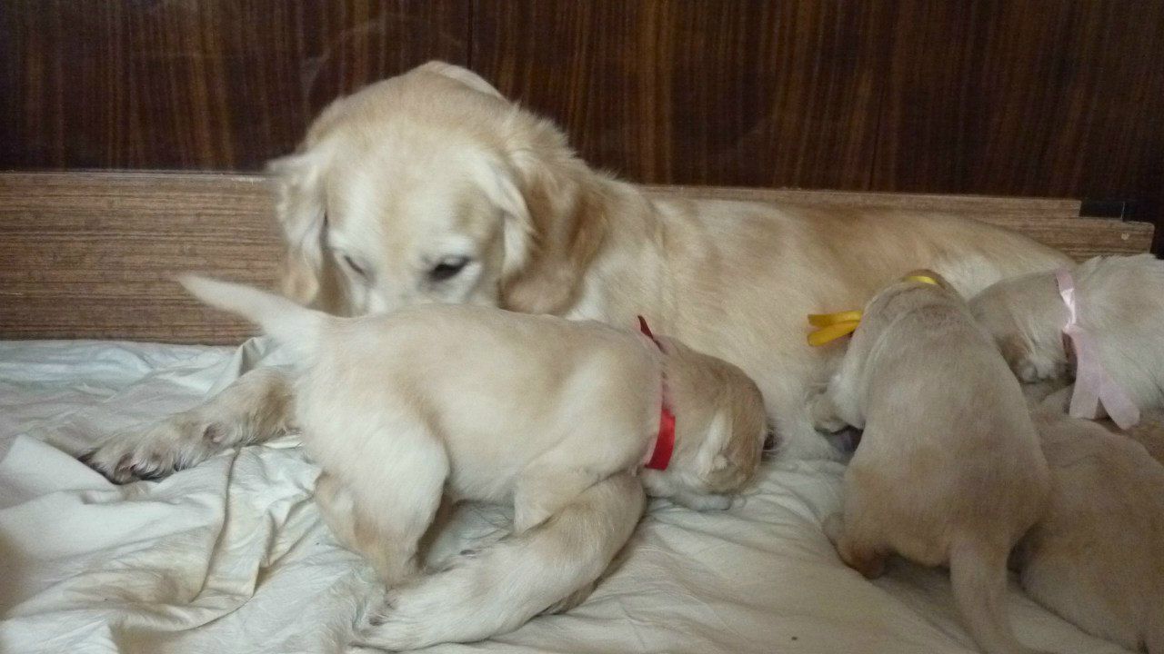 Светлана Богданова | Москва