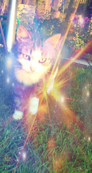 №24, Алёнка Баста №24, Алёнка Баста