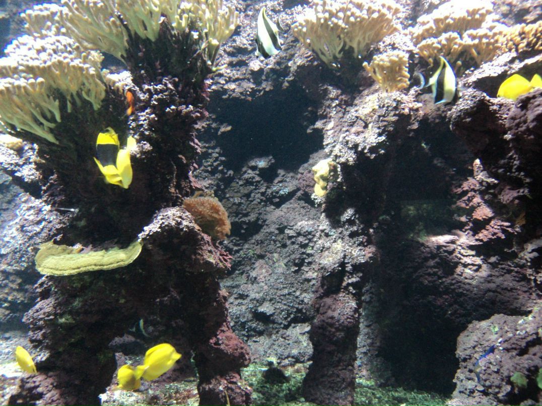 Инна Билоус | Одесса