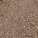 №170, Анжела Жужа, Евпатория №170, Анжела Жужа, Евпатория