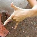 №72, Анжела Жужа, Евпатория №72, Анжела Жужа, Евпатория