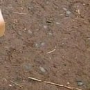 №63, Анжела Жужа, Евпатория №63, Анжела Жужа, Евпатория