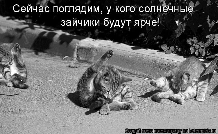 Сергей Макаревич | Воронеж