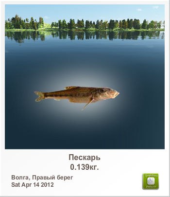 Санёк Сизов | Саратов