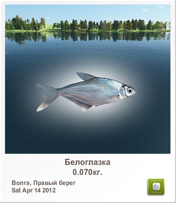 Санёк Сизов | Саратов