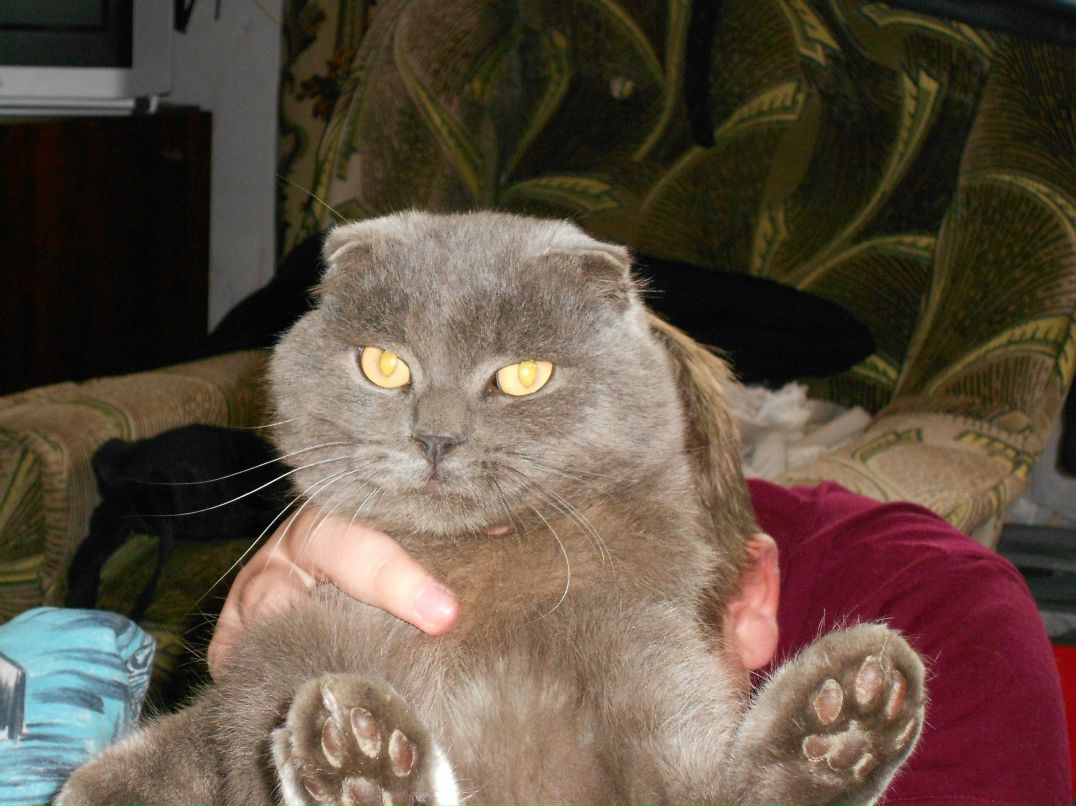 Евгений Рыбак ♥SeKaZzZ♥ | Киев