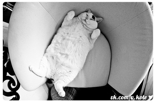 Аня Тарасова | Санкт-Петербург