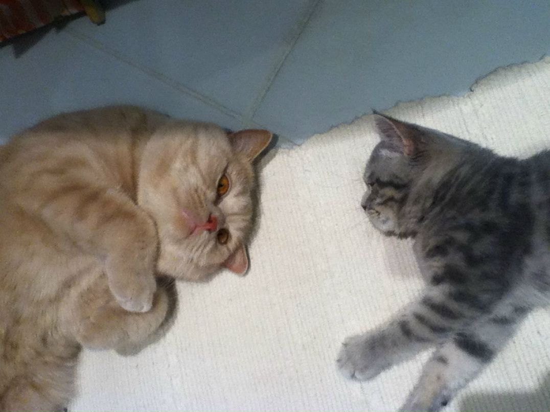 Наталья Лидовская | Одесса