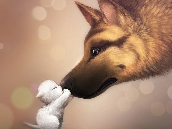 №17, Катя Кузнецова, 18.3.1992, Новокузнецк №17, Катя Кузнецова, 18.3.1992, Новокузнецк