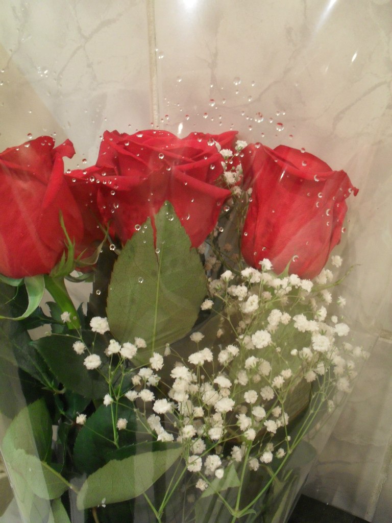 Вера Винокурова | Москва