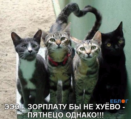 Дима Tryasunoff | 