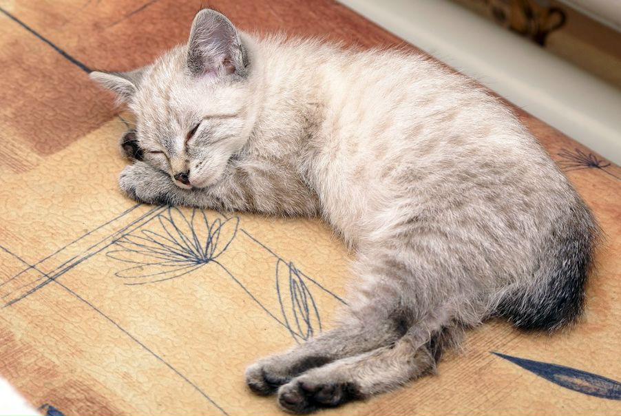 №25, Денис Хрипунов, 50 лет, Челябинск №25, Денис Хрипунов, 50 лет, Челябинск