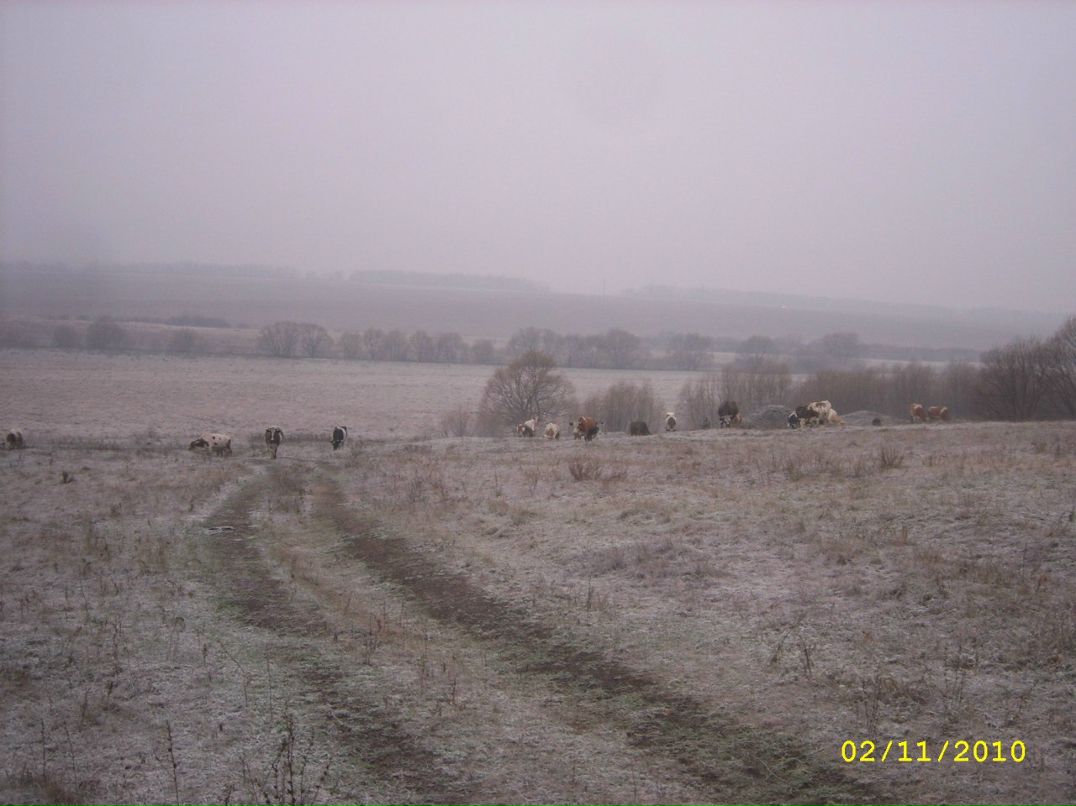 Сергей Жиляков | Пенза