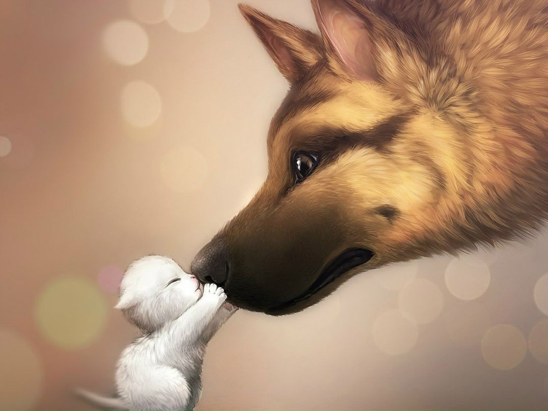 Виктория Рублевская | 