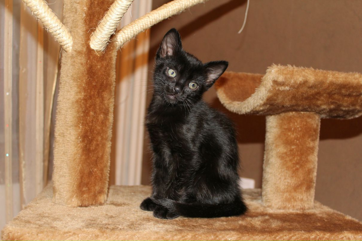 Наталья Владимирова | Костомукша