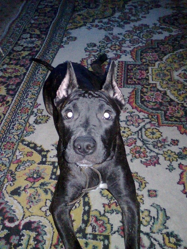 Кристина Шишкина | Астана / Нур-Султан