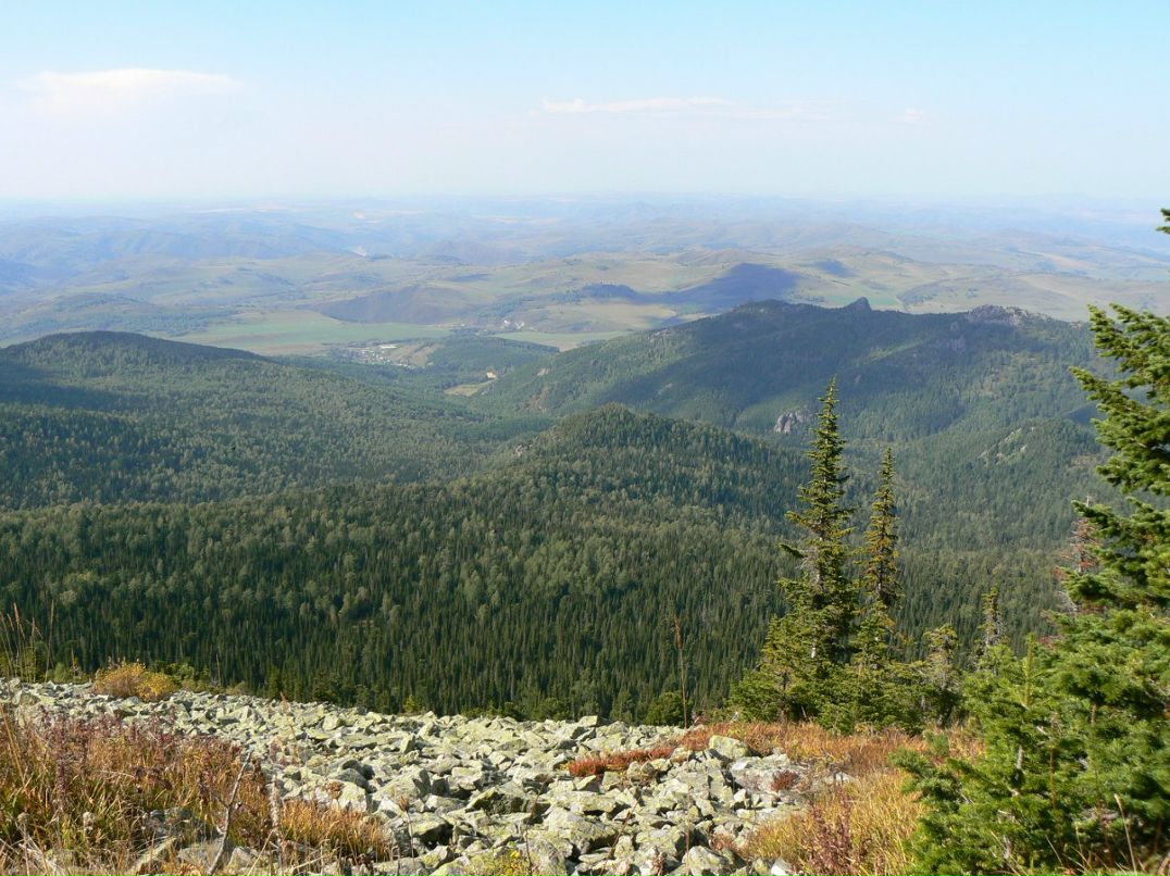 Вячеслав Рощин | 