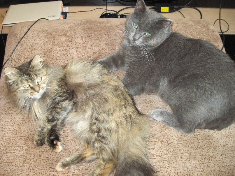 Майя Хаскина | Новосибирск