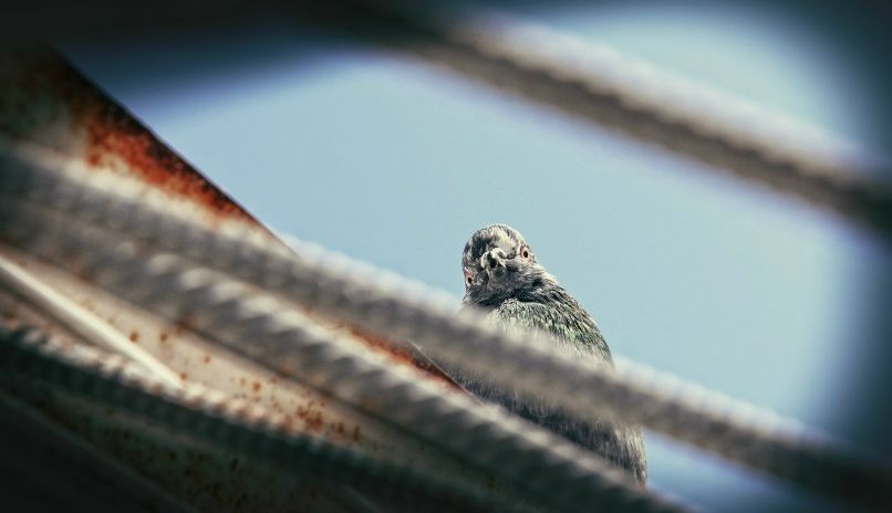 Vetal Marich | Запорожье