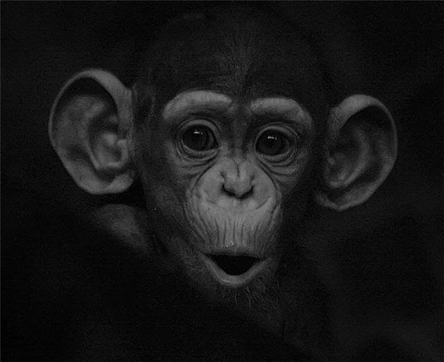 Анатолий Маршанский | Казань