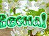 Елена Волкова | Череповец
