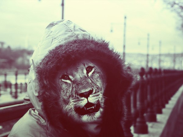 Дмитрий Николаев | 