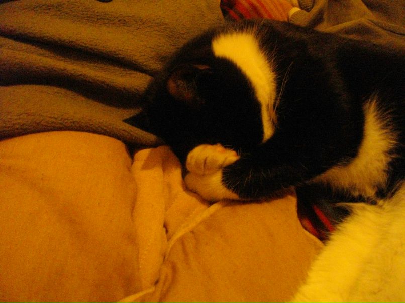 Elijah Qassar | Ивано-Франковск