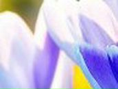 Татьяна Богатырева | Кунгур