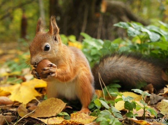 Наташа Васильева | Красноярск