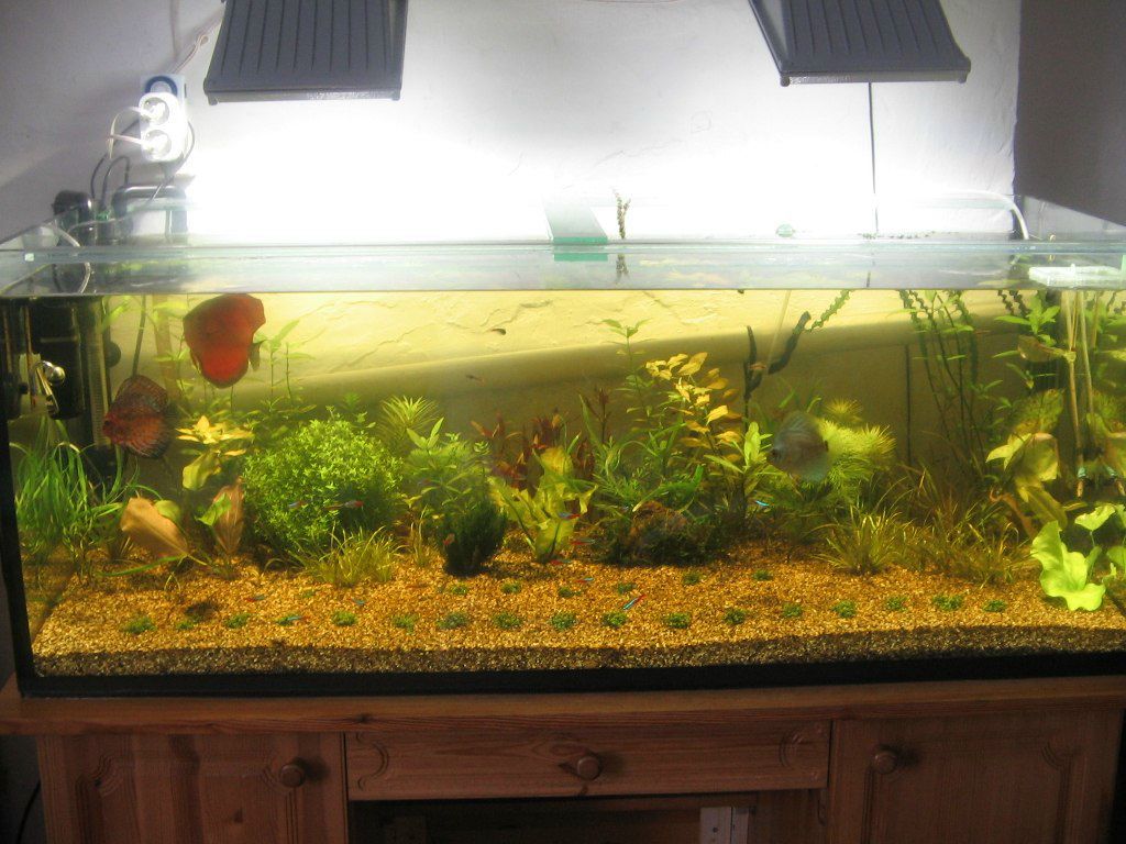 Зульфат Бабаев ℂ⋆ | Тюмень