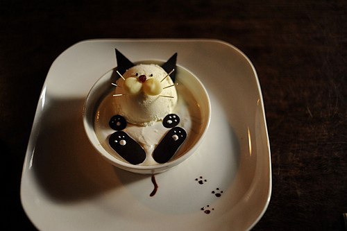 Іра Донець | Ивано-Франковск