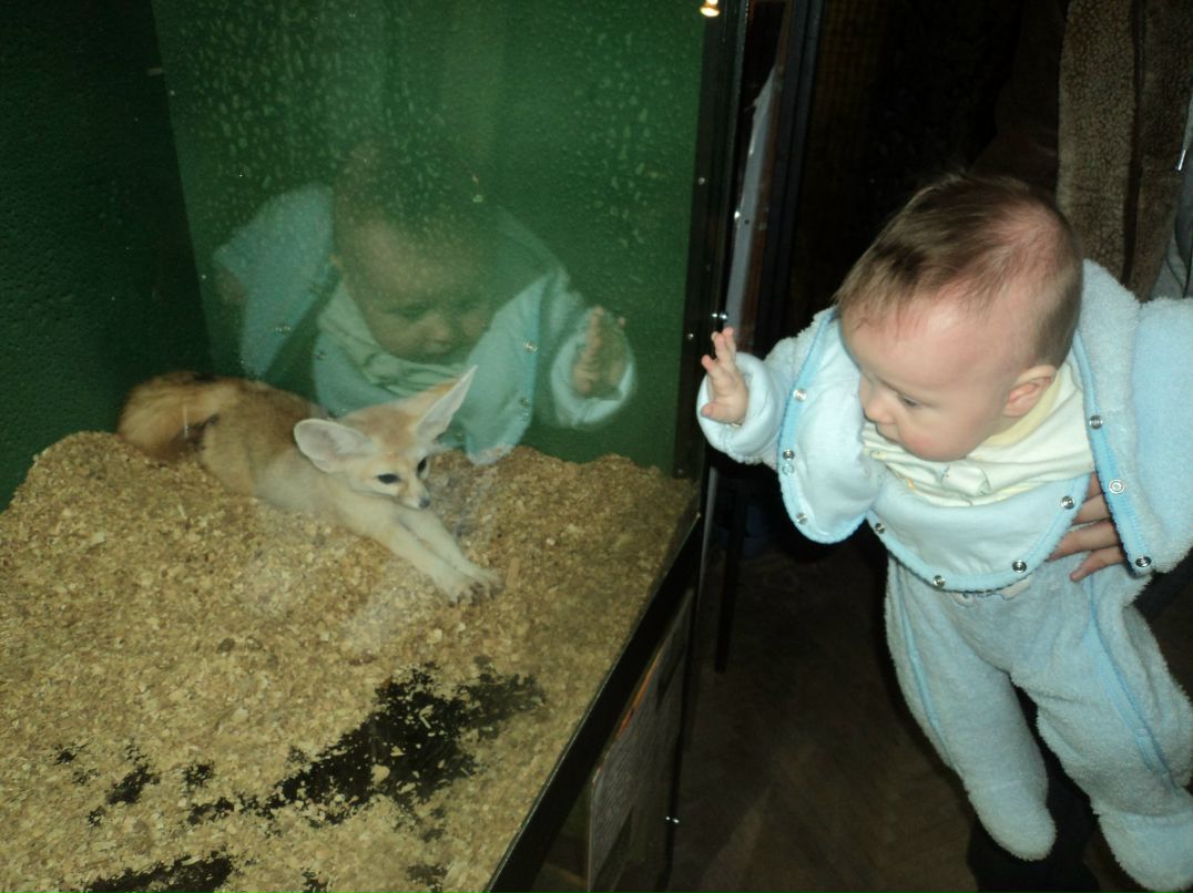 Вячеслав Трофимовский | Санкт-Петербург