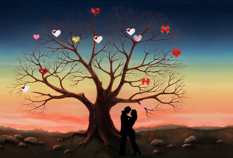 Елена Пышинская | Гродно