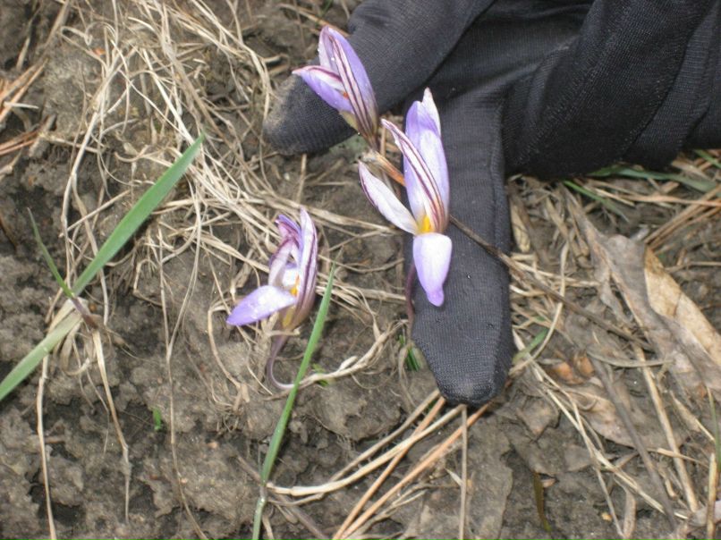 Нина Клещева Анатольевна | Магнитогорск