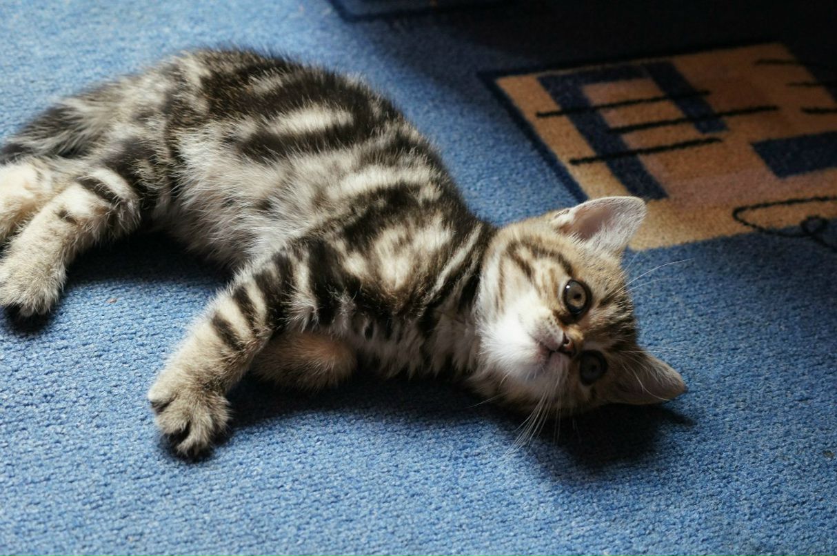 Людочек Зиннатуллина ღ♥ღ♥ღ♥ღ♥ღ | Муравленко