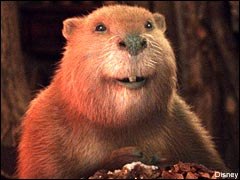 Богдан Скиба | Днепр (Днепропетровск)