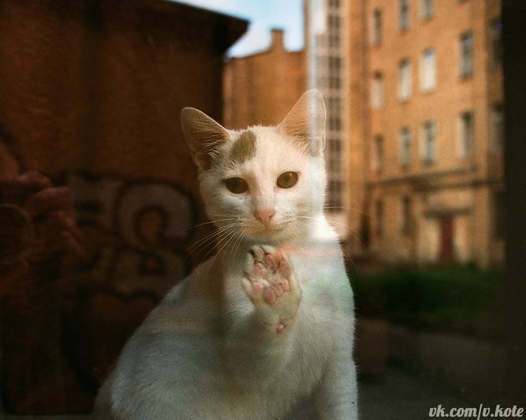 Дарима Жаргалова ♥ | 