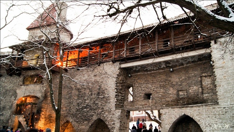 Константин Махов | Елабуга