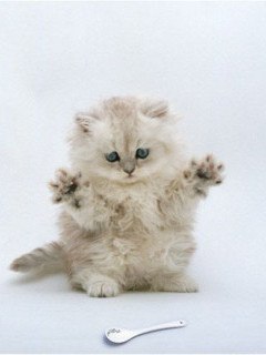 Эдик Ахмадуллин | 