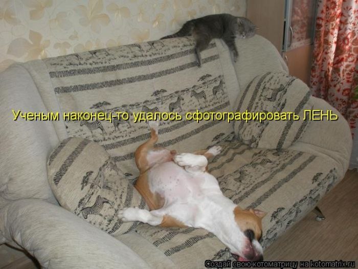 Альберт Клячкин | Москва