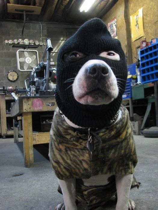 Илья Закорюкин | Екатеринбург