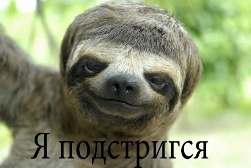 Андрей Афанасьев | Санкт-Петербург