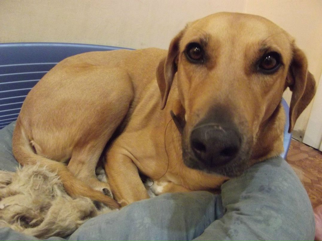 Ростислав Пантюхов | Санкт-Петербург