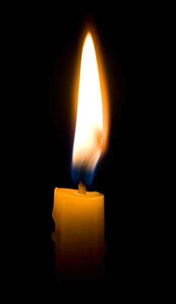 Екатерина Тимошенко | Киев