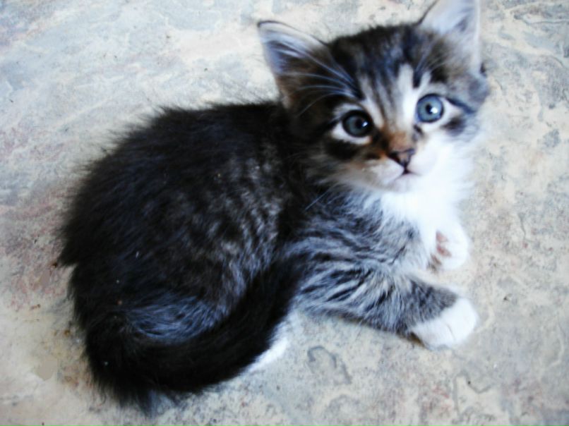 Евгений Смирнов Николаевич | Санкт-Петербург