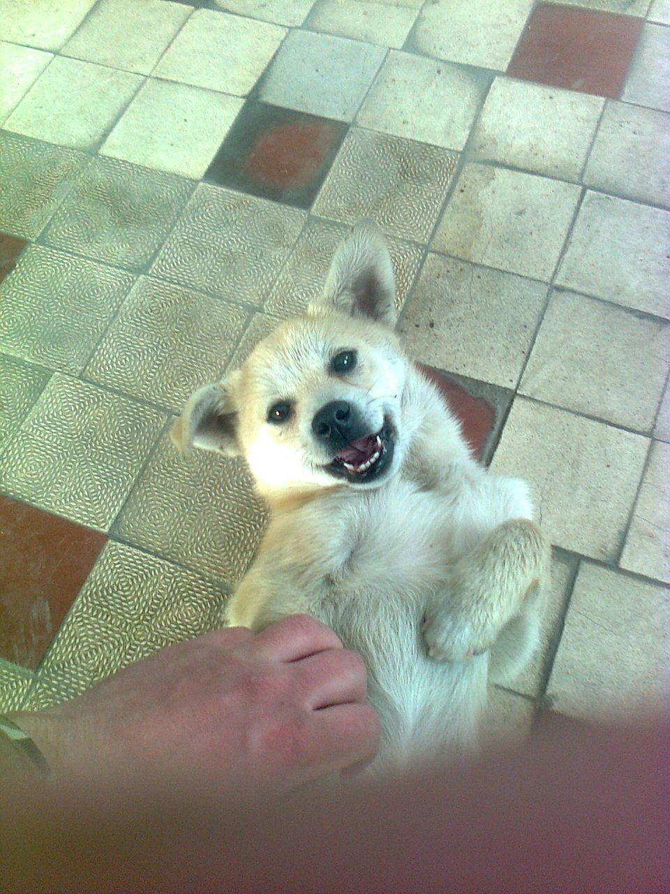 Антон Аксайский | Харьков